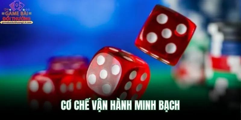 co-che-van-hanh-minh-bach